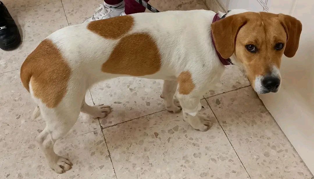 photo_2026-03-04-15.56.56