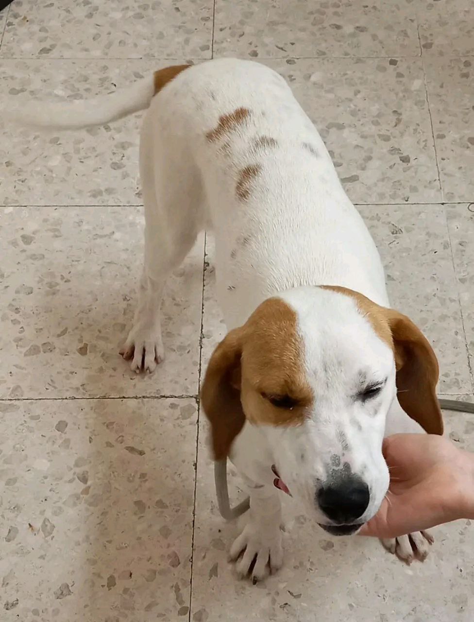 photo_2026-03-04-15.56.58