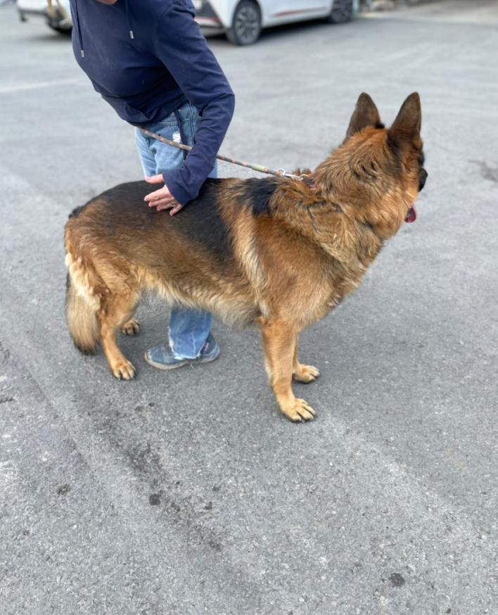 photo_2026-03-24-16.24.25