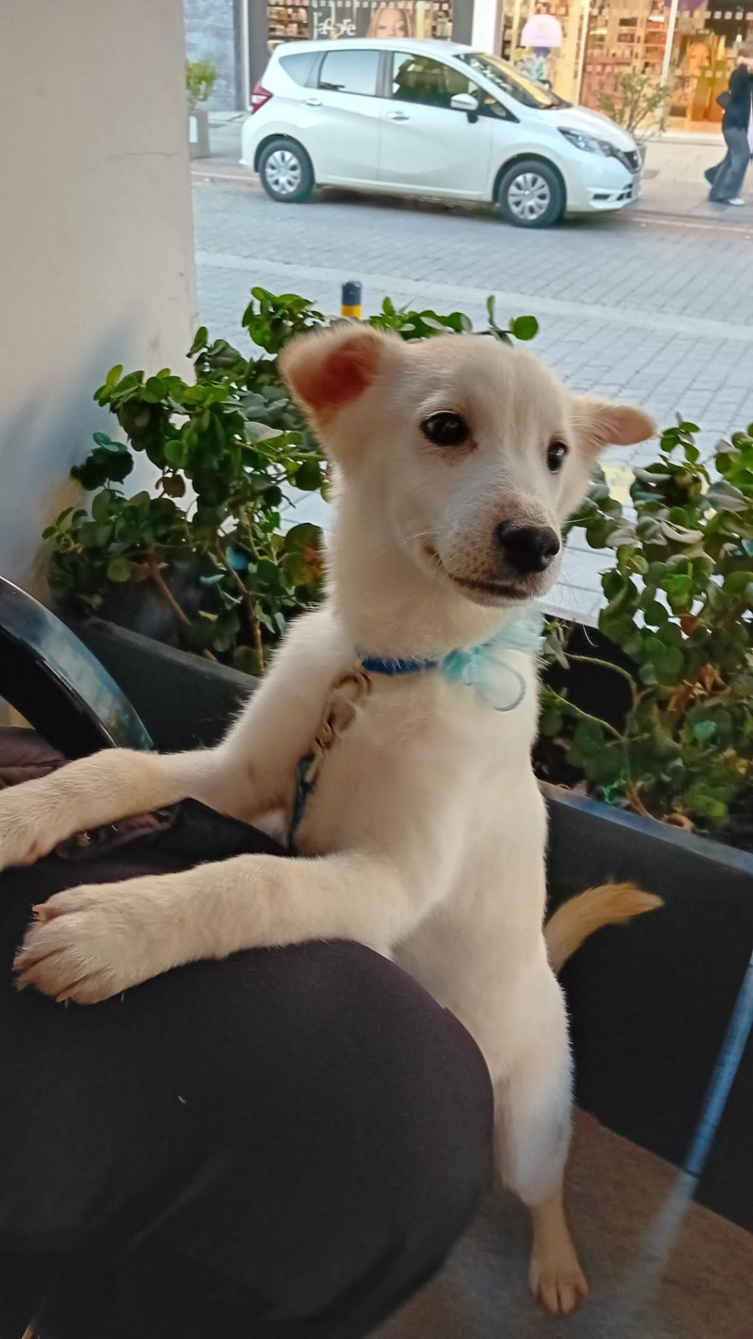 097F922B-0A82-4129-B403-D90989A8AB76