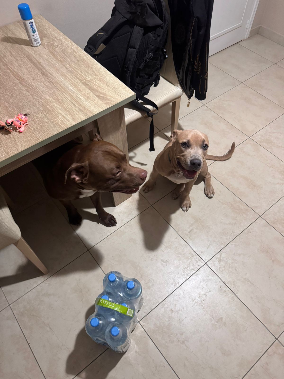 212f24c1-eb2f-48ca-9013-fde3a3946253