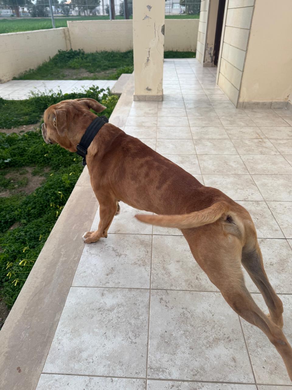 214475a9-513c-499c-945b-029e6dfc18be