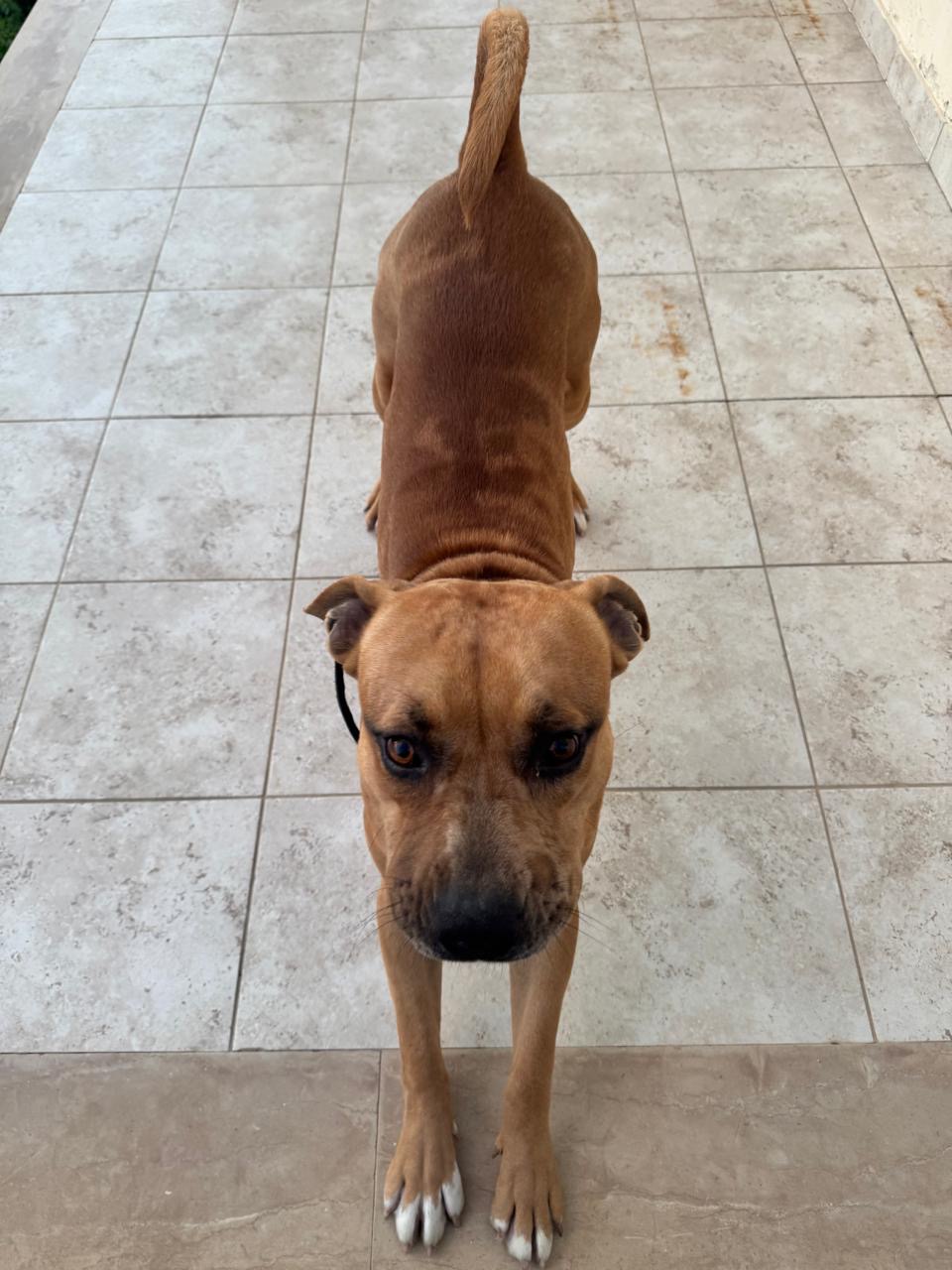 2c71c7c8-b5bd-49e4-826c-72704a44c984