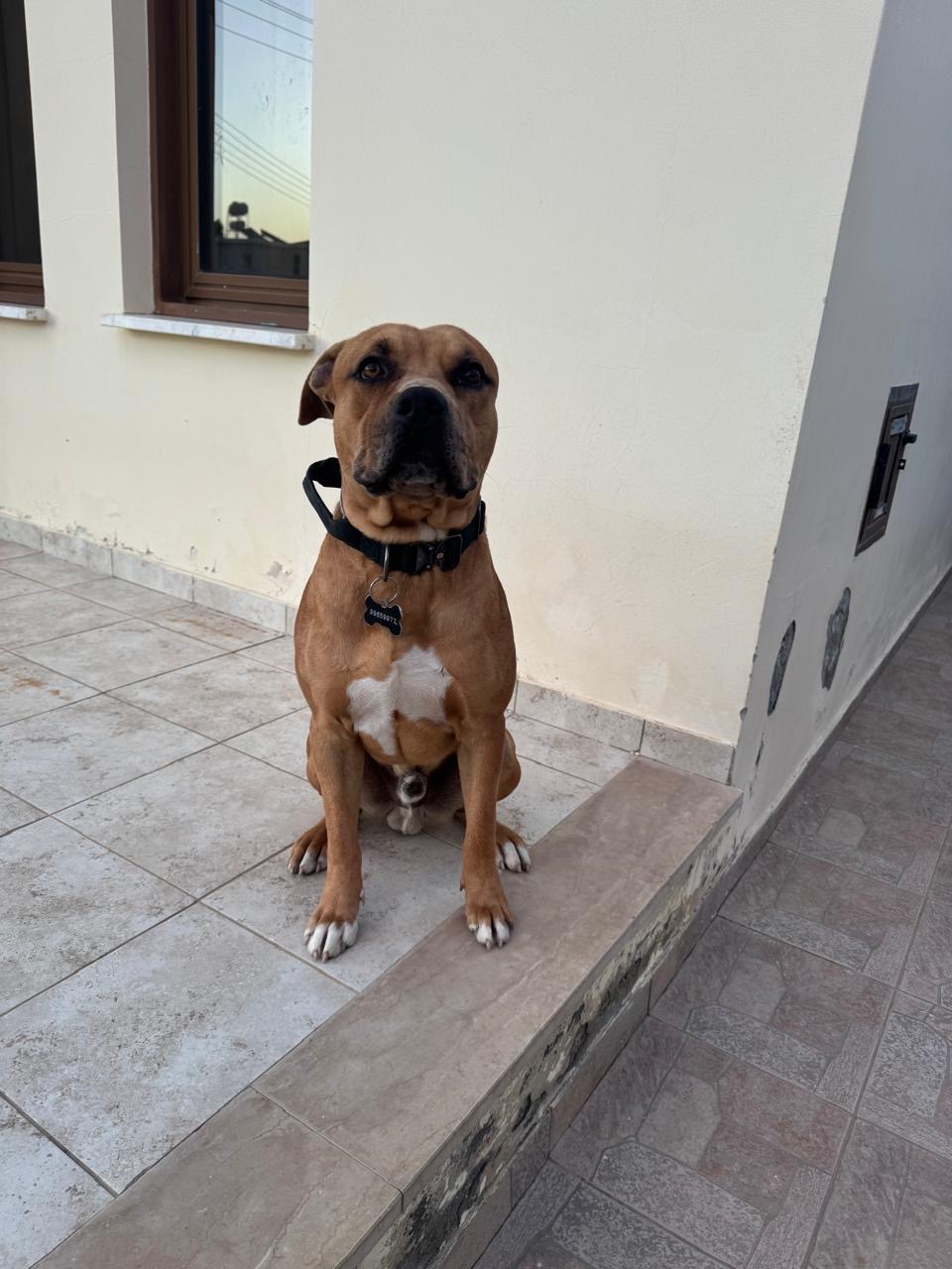 40dde145-7d42-43c2-822b-118804b0edf2