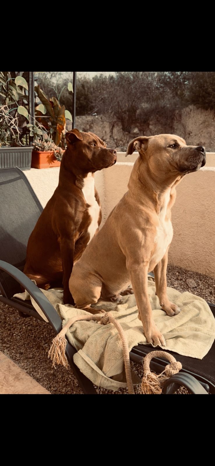 48bb3a23-e7c0-425f-a315-e167c524f13a