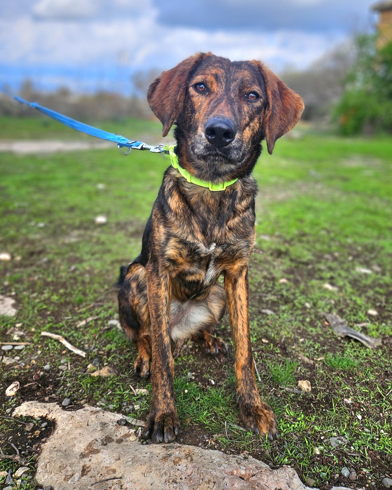 649072422_1359721616196820_7674566553207671052_n