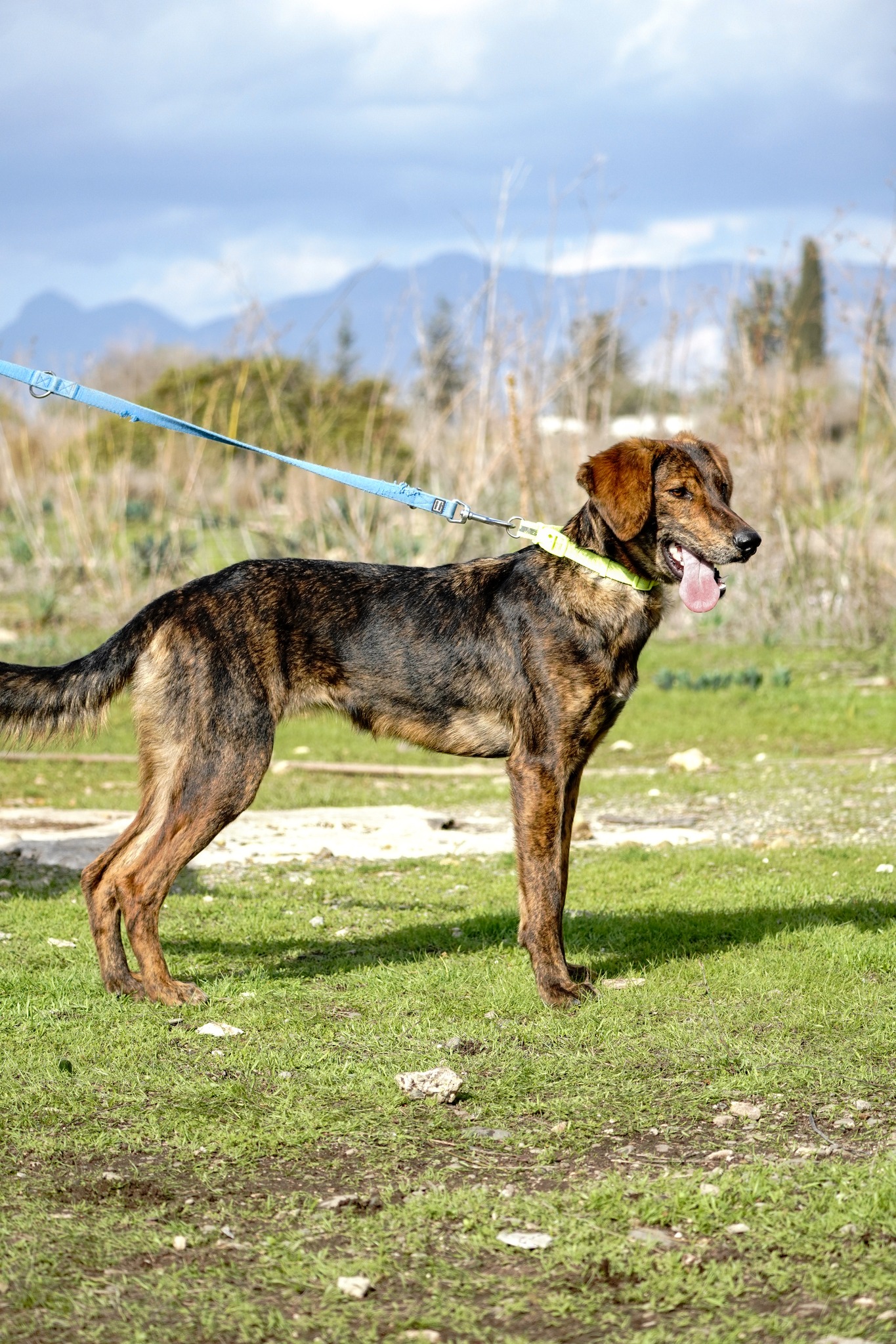 649177496_1359719419530373_6270613732419982533_n