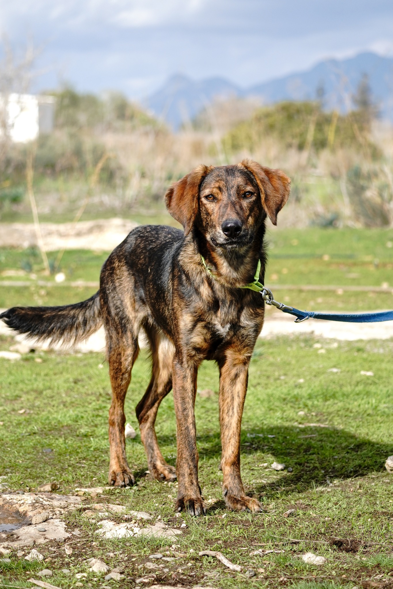 649398865_1359719296197052_1260519715761457208_n