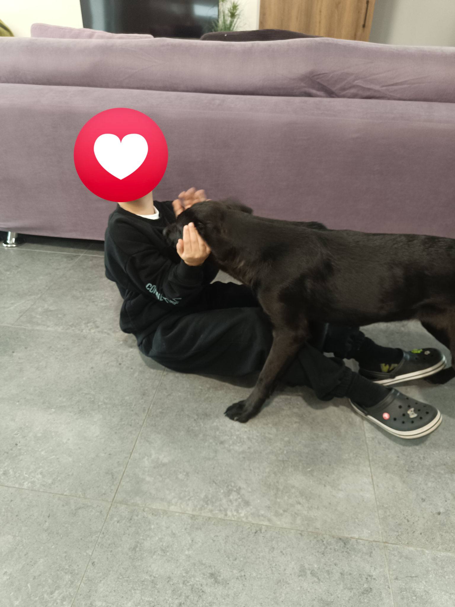 650376755_1362332805935701_4104602966675484821_n