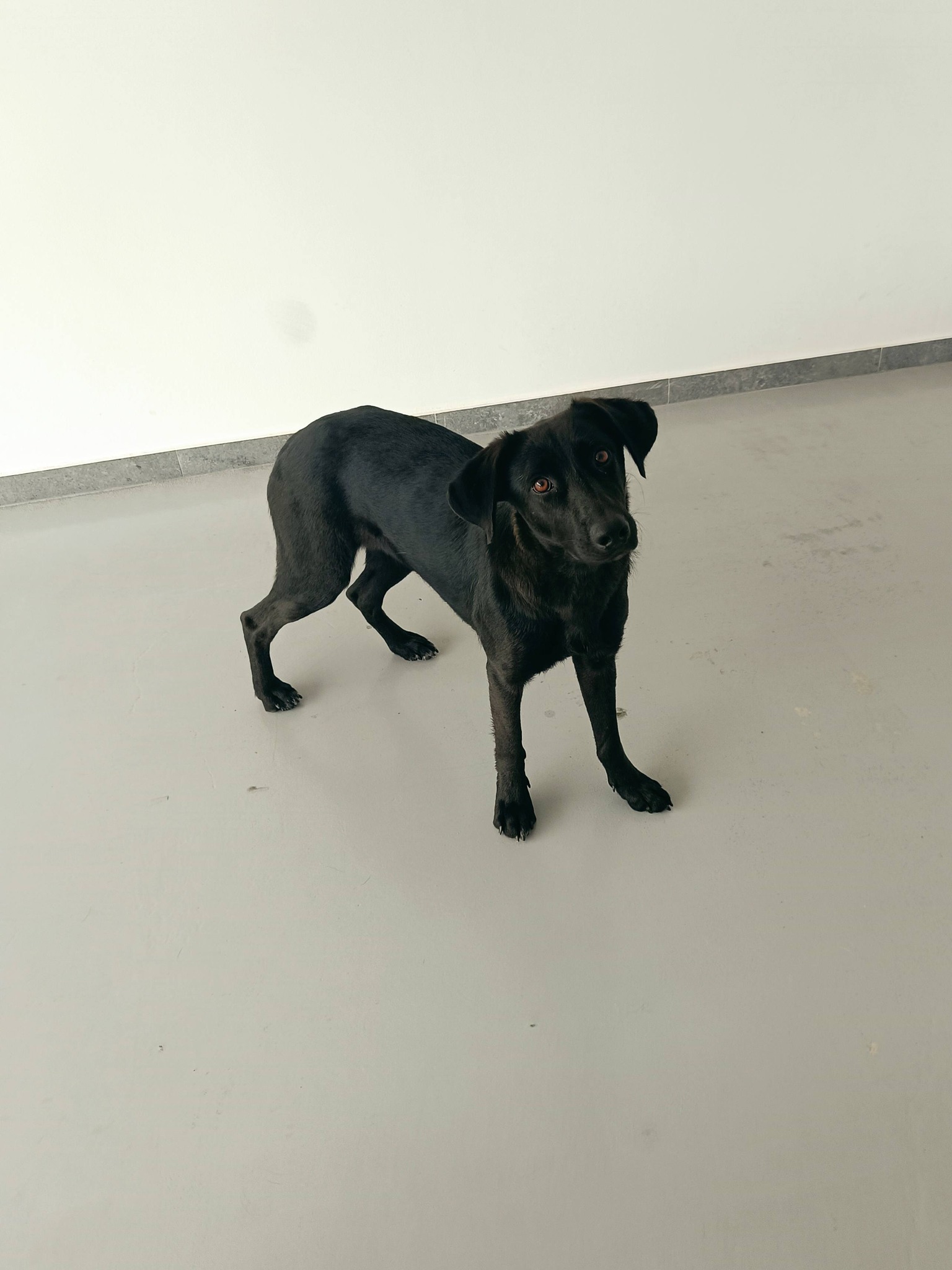 650741928_1362332289269086_1540778235664893479_n