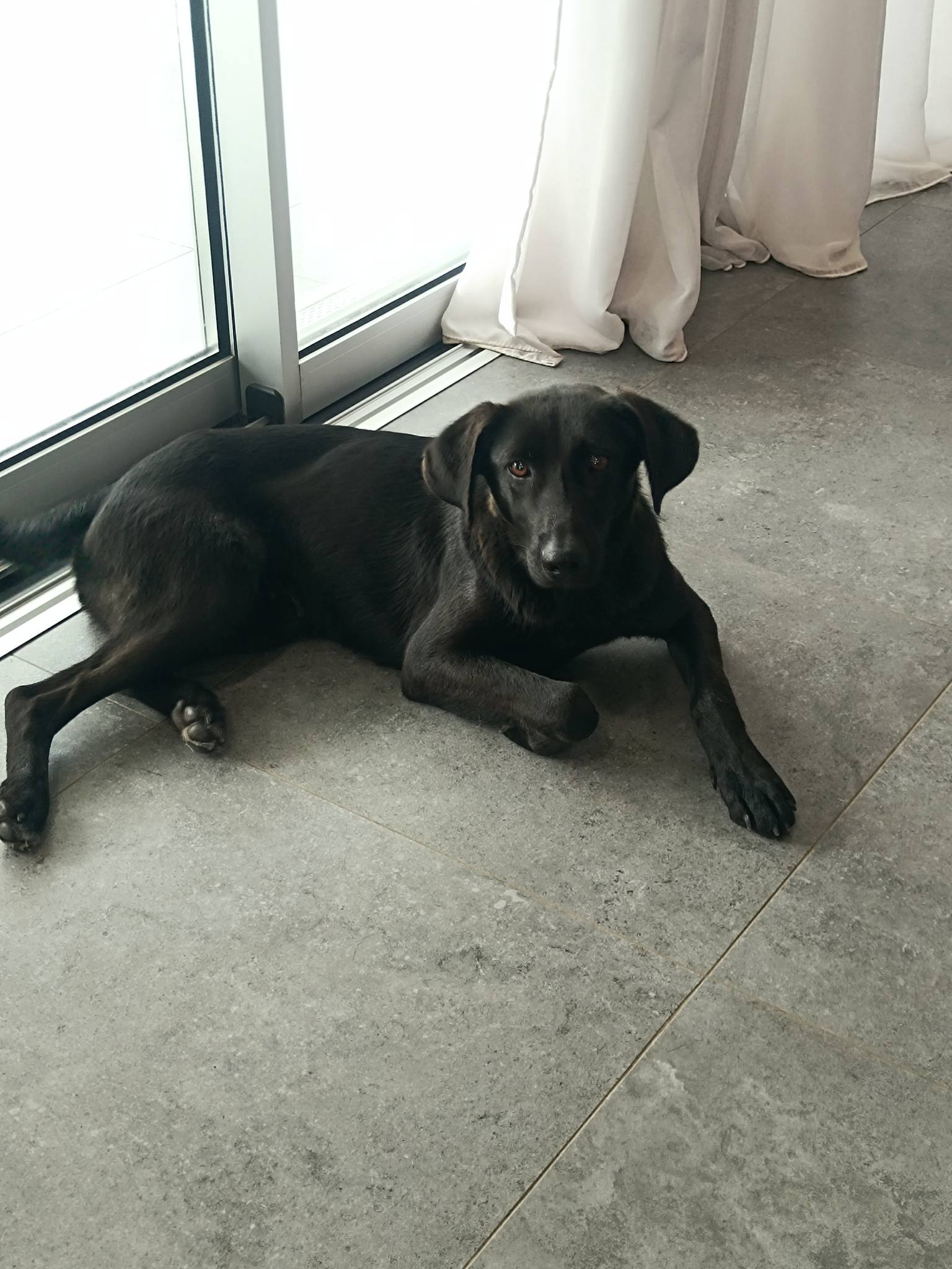 651166748_1362332389269076_4324836368379086562_n