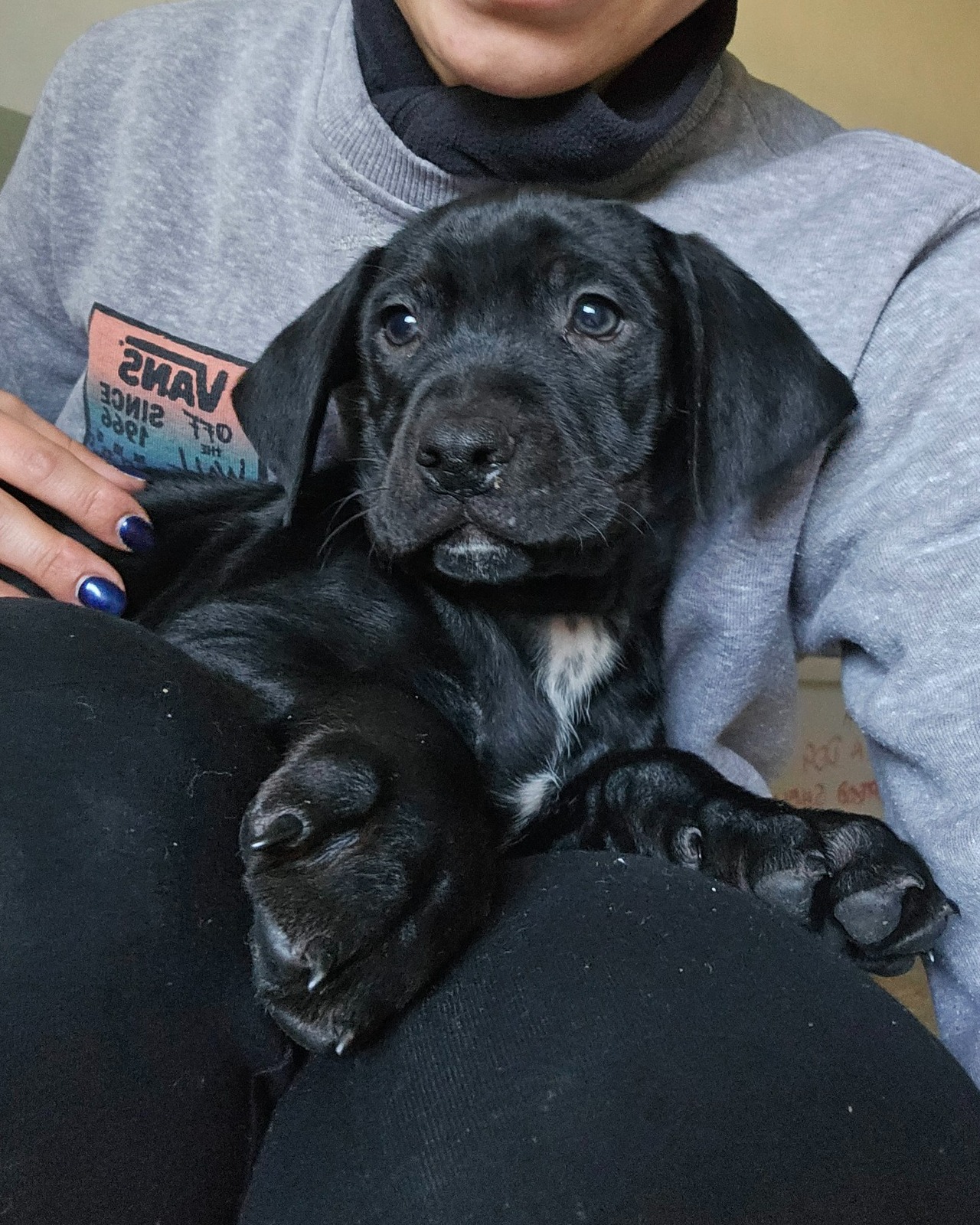 651266341_1365440768958238_8522397791751781171_n