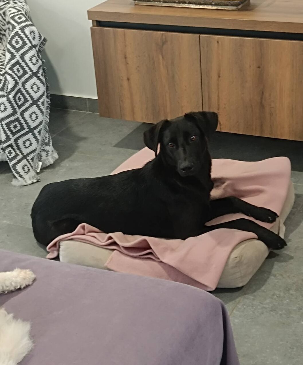 651410628_1362332592602389_244913021780305560_n