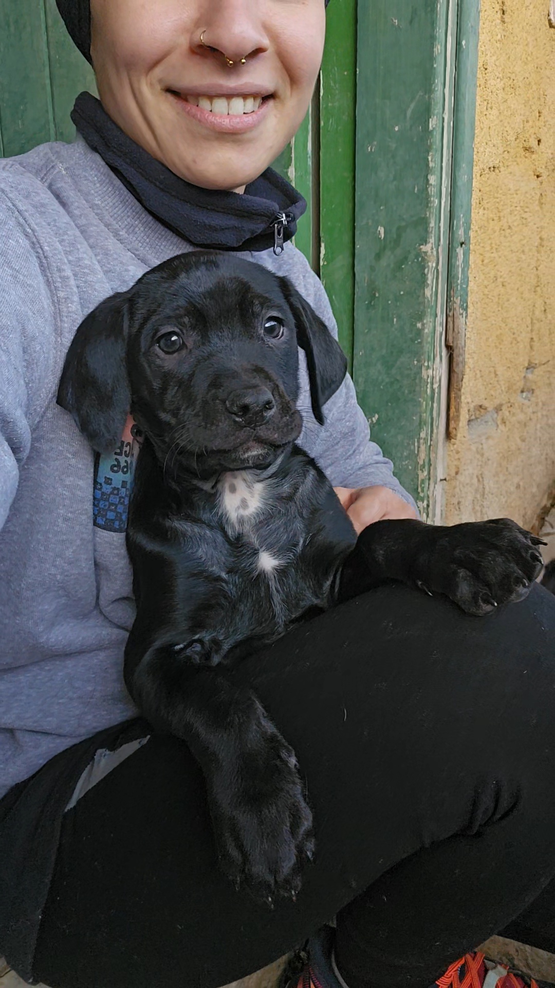 652218386_1365437308958584_1020047515388844645_n