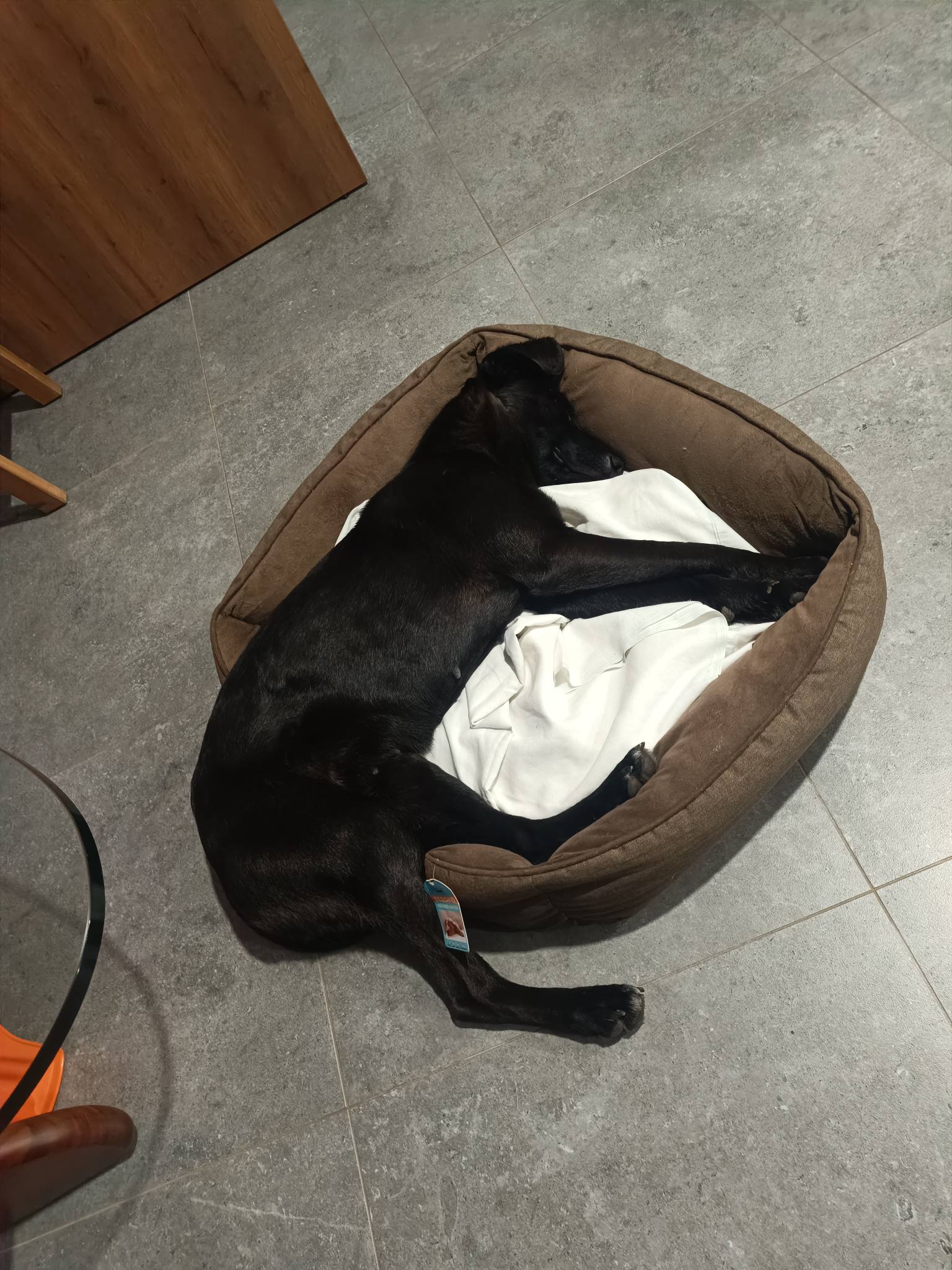 652922778_1362332725935709_8945510274244484573_n