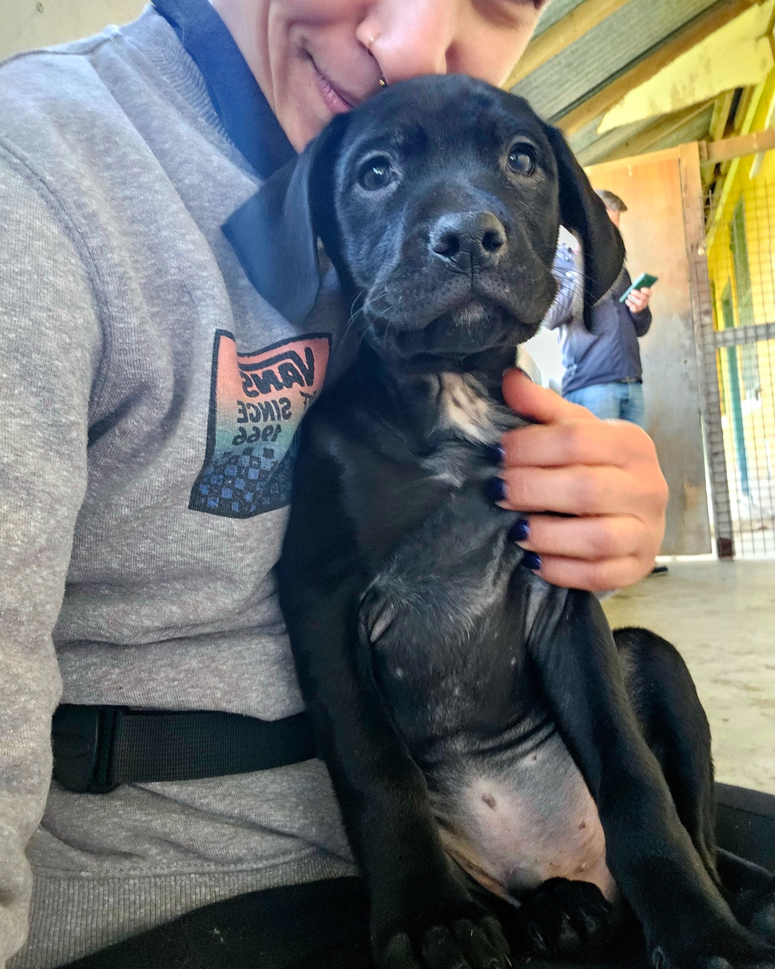 654001404_1365441112291537_385232318995062294_n