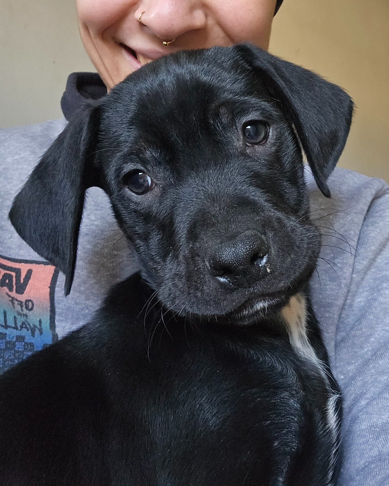 655802987_1365439902291658_2092237103671461775_n