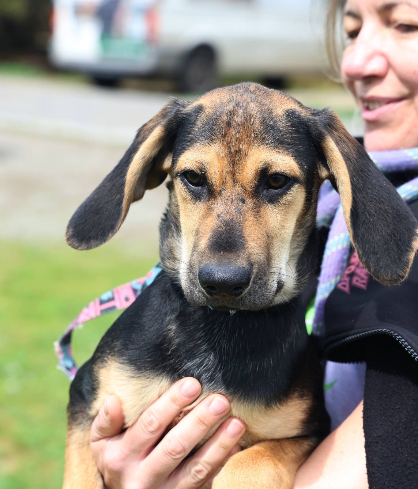 656748683_1374574864711495_6221915833929705471_n