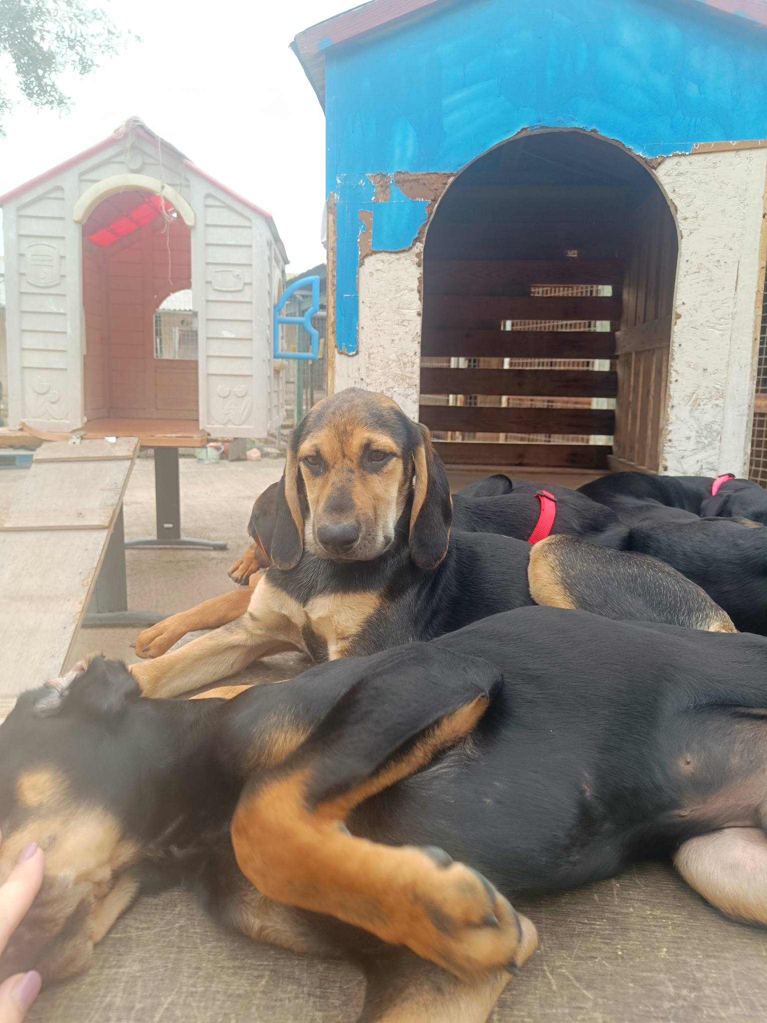 657109793_1374575014711480_4498119968404023125_n