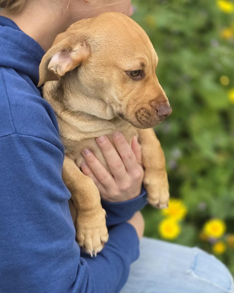 657729828_122176972742771468_1931068937075161739_n