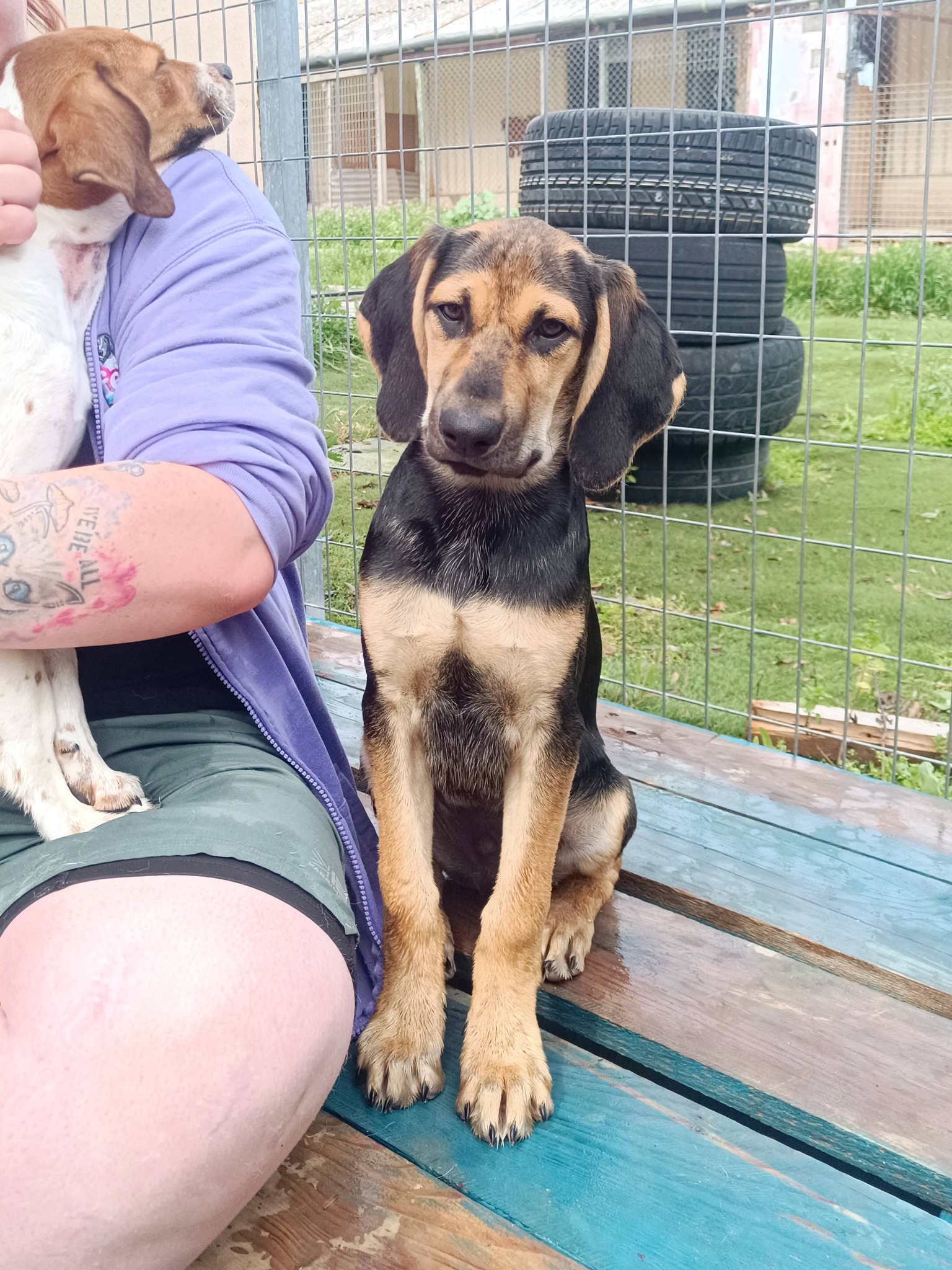 657812501_1374574724711509_2239192257817272297_n