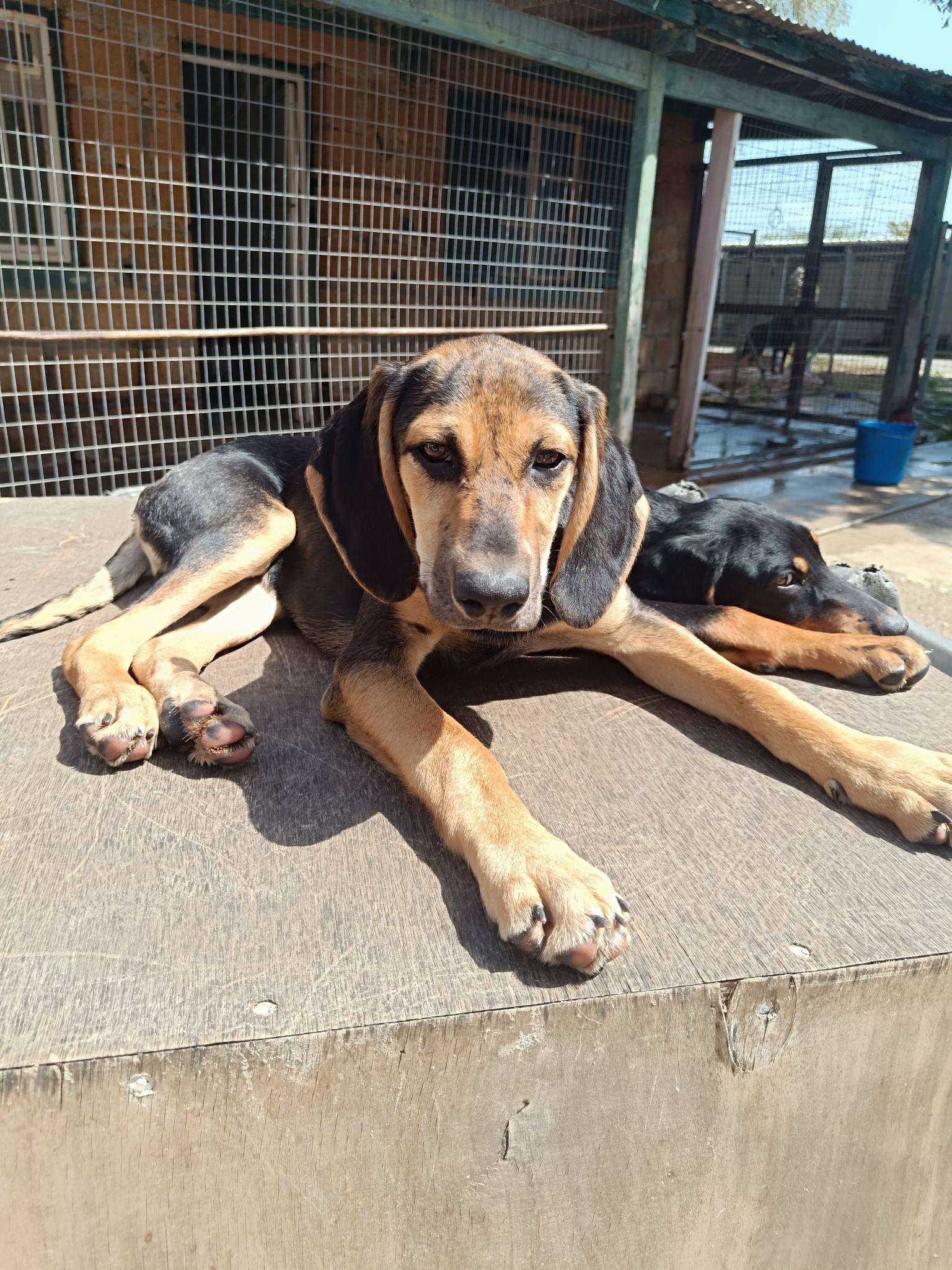 658811389_1374574908044824_3545901208310027181_n