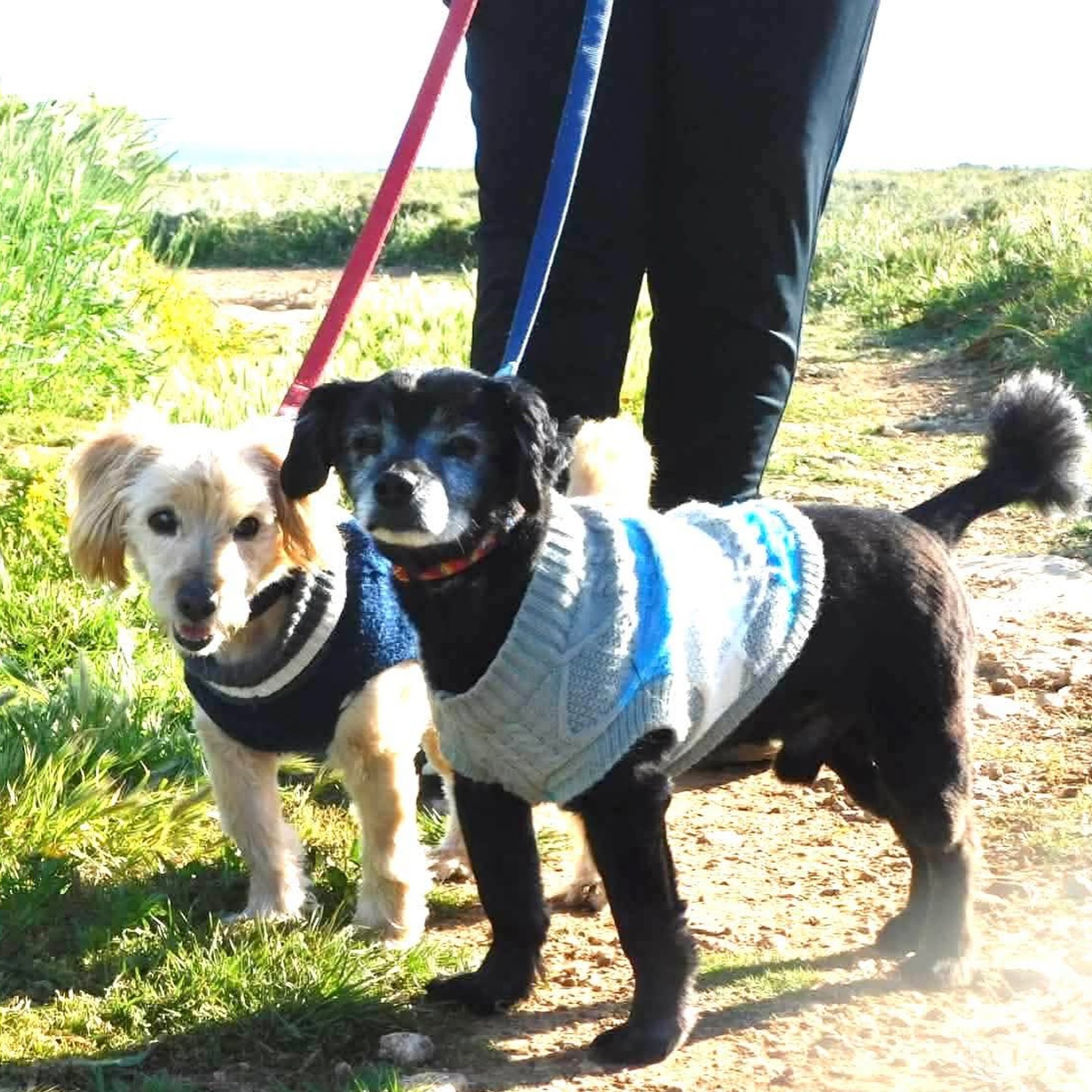 659080333_18329816782301739_4090669059292260322_n