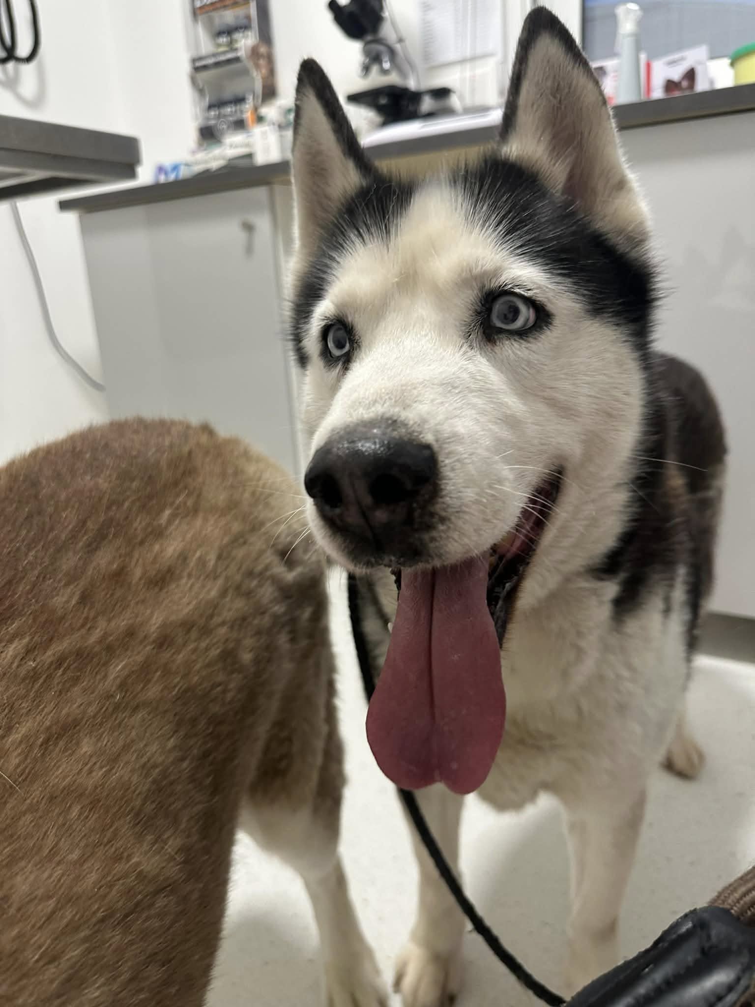 659432017_2927892030875274_2135620784253344141_n