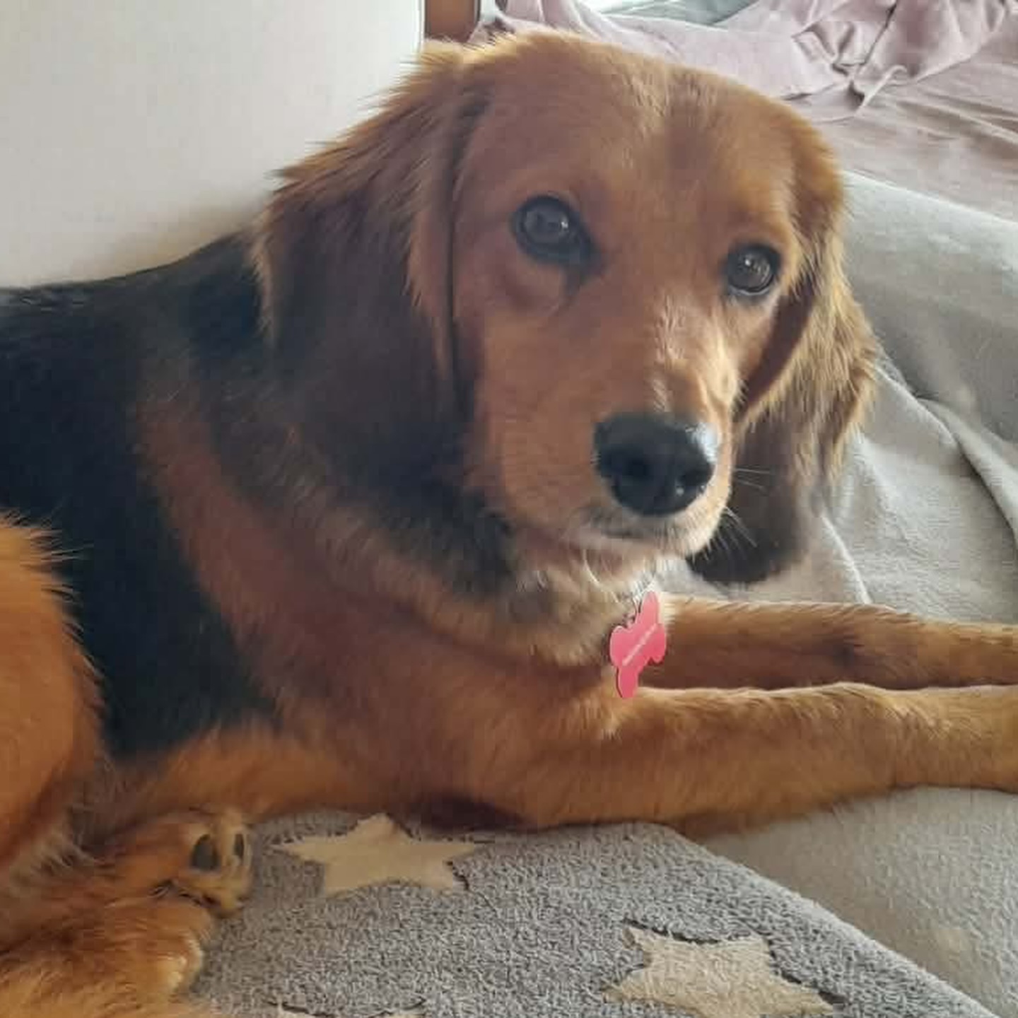 659611124_18328360945301739_7304987018181661151_n