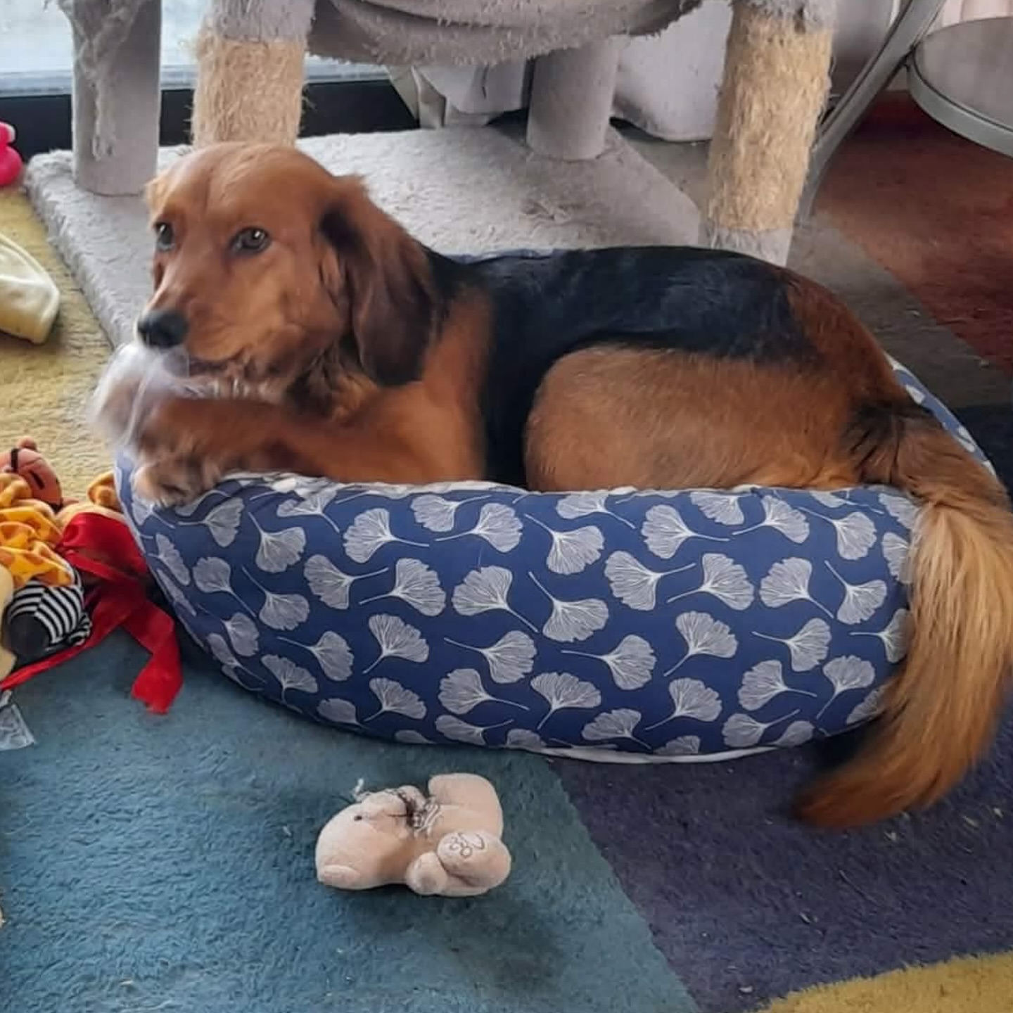 659679826_18328360936301739_2383127959889537871_n