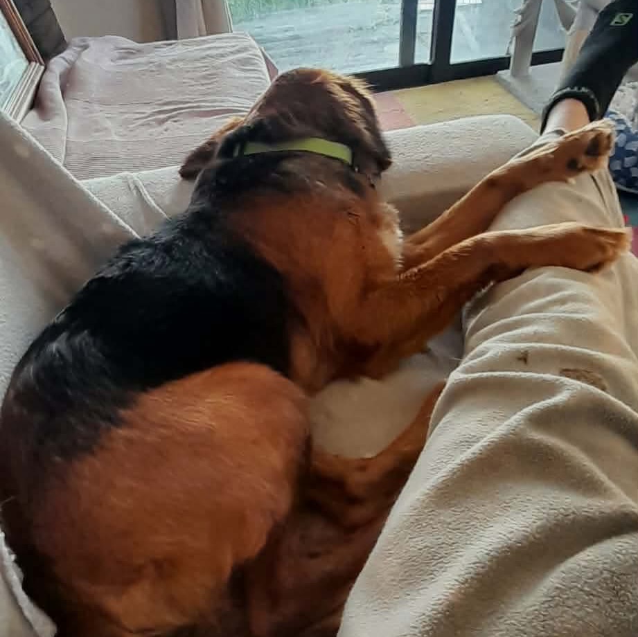 660038963_18328360918301739_1446990025671794467_n