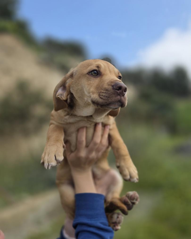 660066274_122176972766771468_9198827137890493654_n