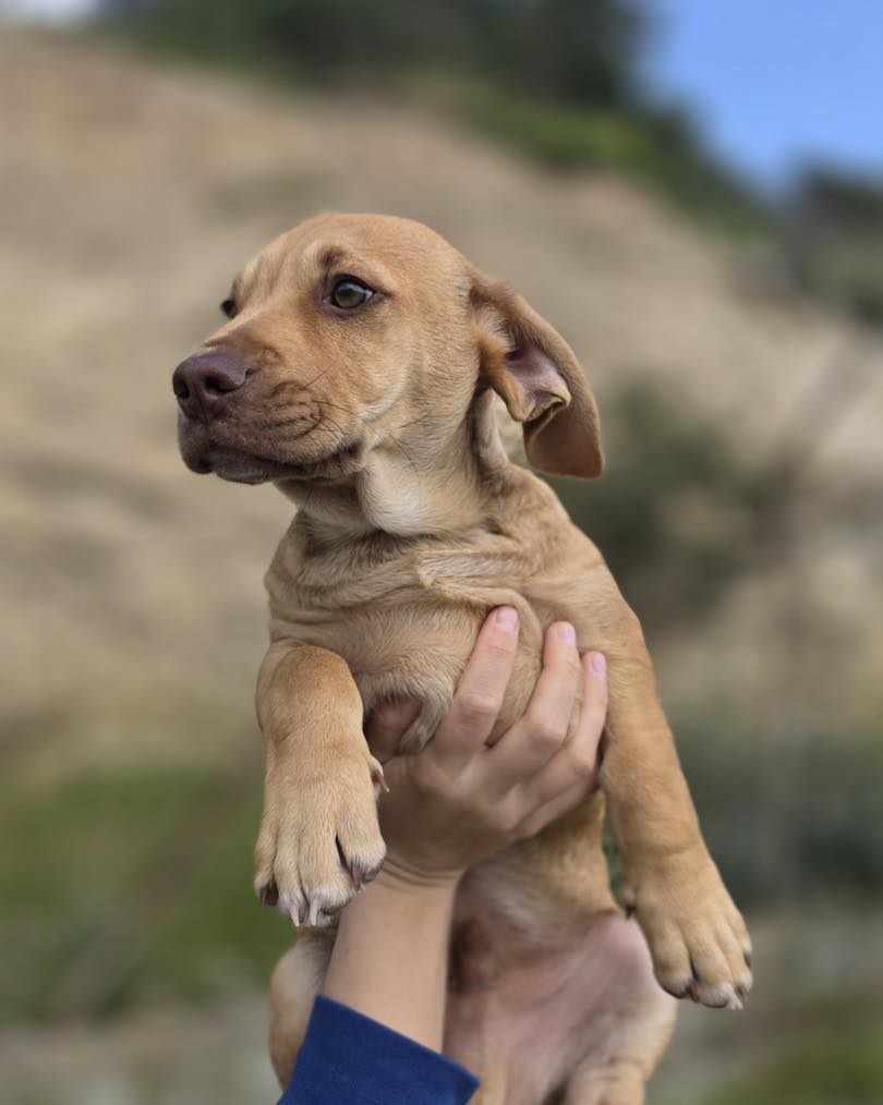 660182510_122176972772771468_2649077230111842378_n