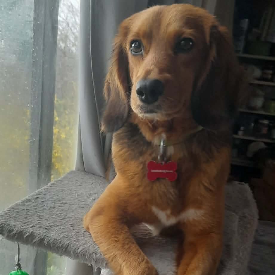 660298493_18328360927301739_5946614142555559660_n