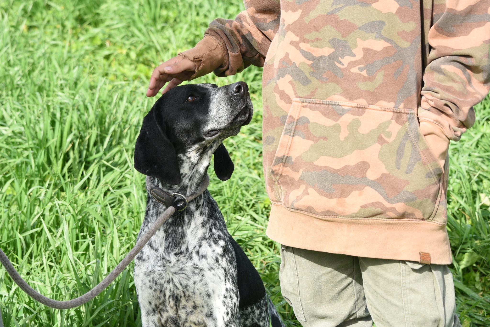 660990000_953713403838504_9056224896293771777_n