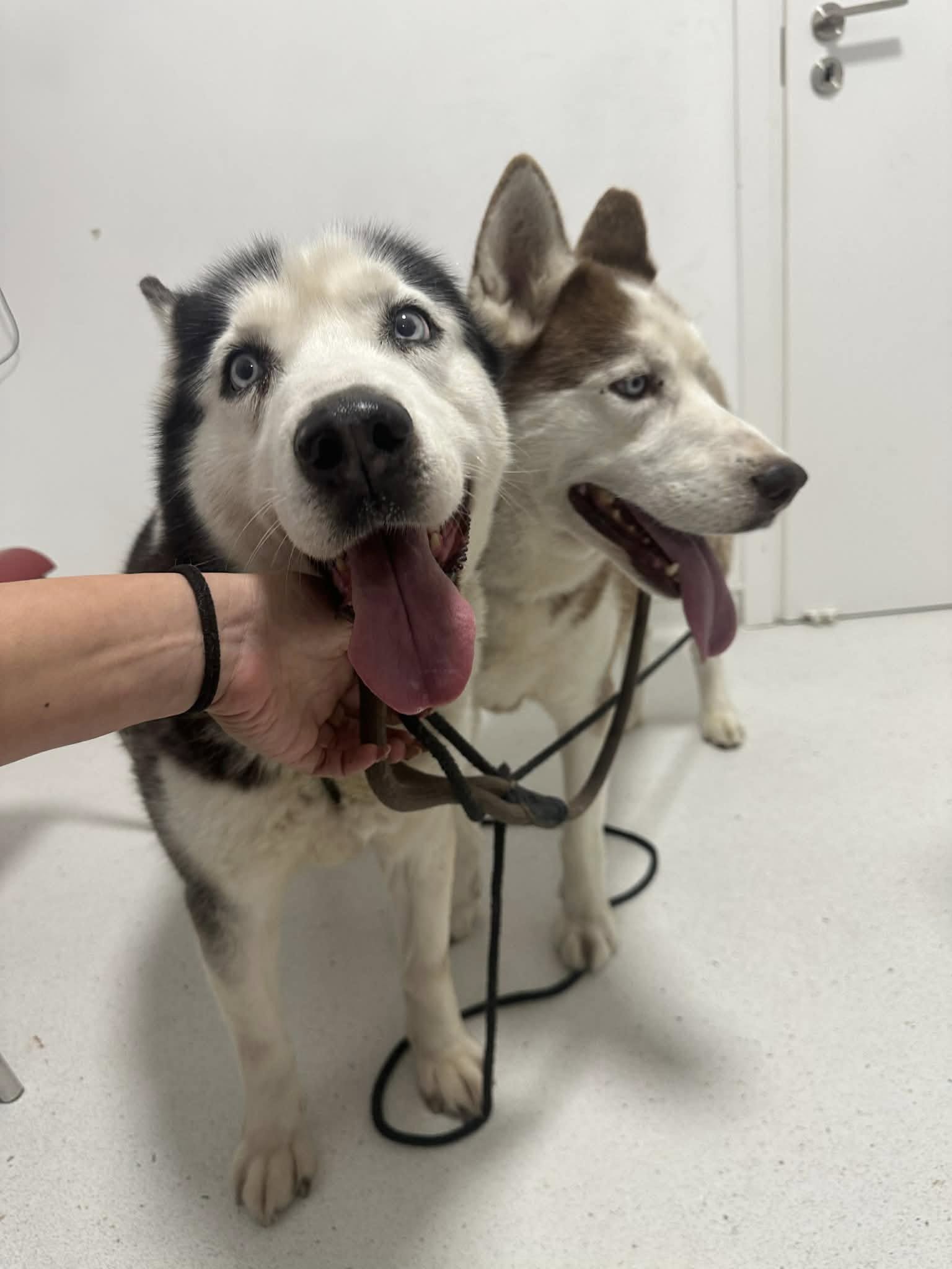 661006906_2927891904208620_7970909147187807734_n