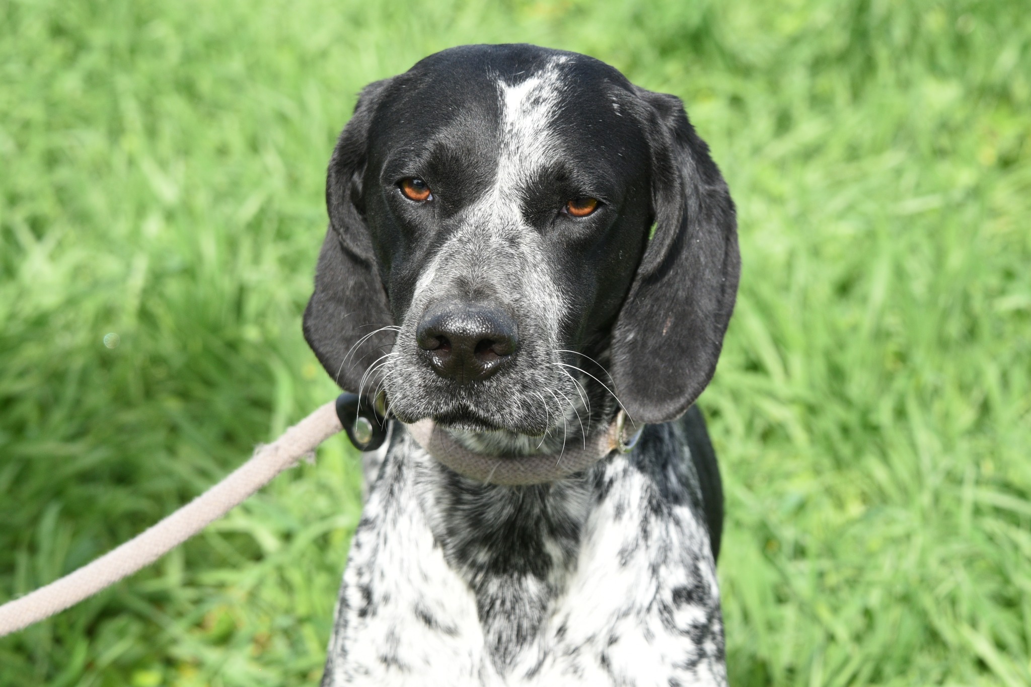 661750749_953711897171988_1122597259600640765_n-2