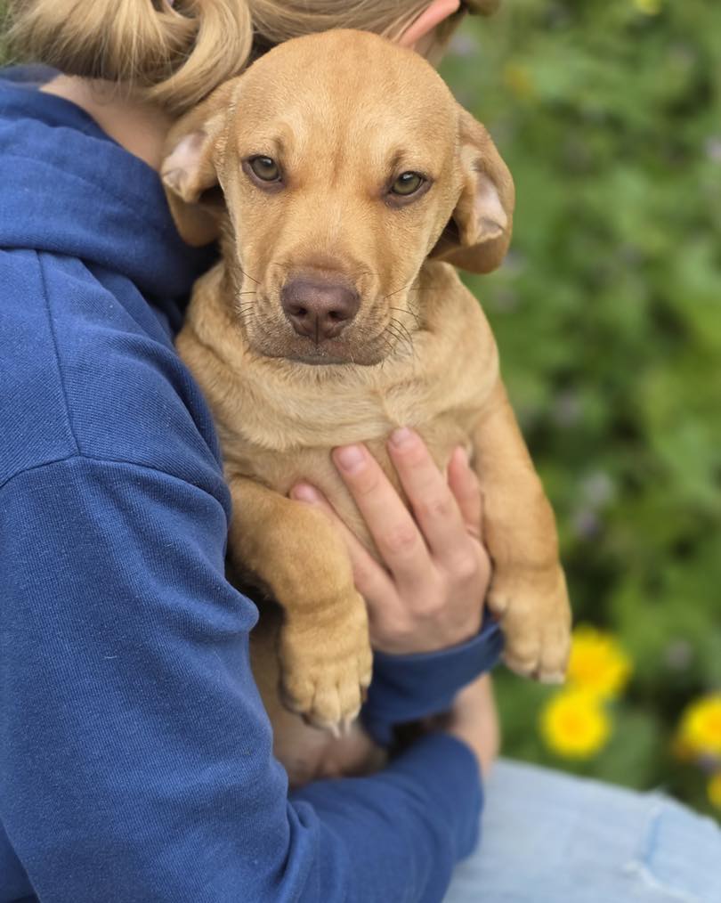 661858578_122176972778771468_5623793956296887310_n