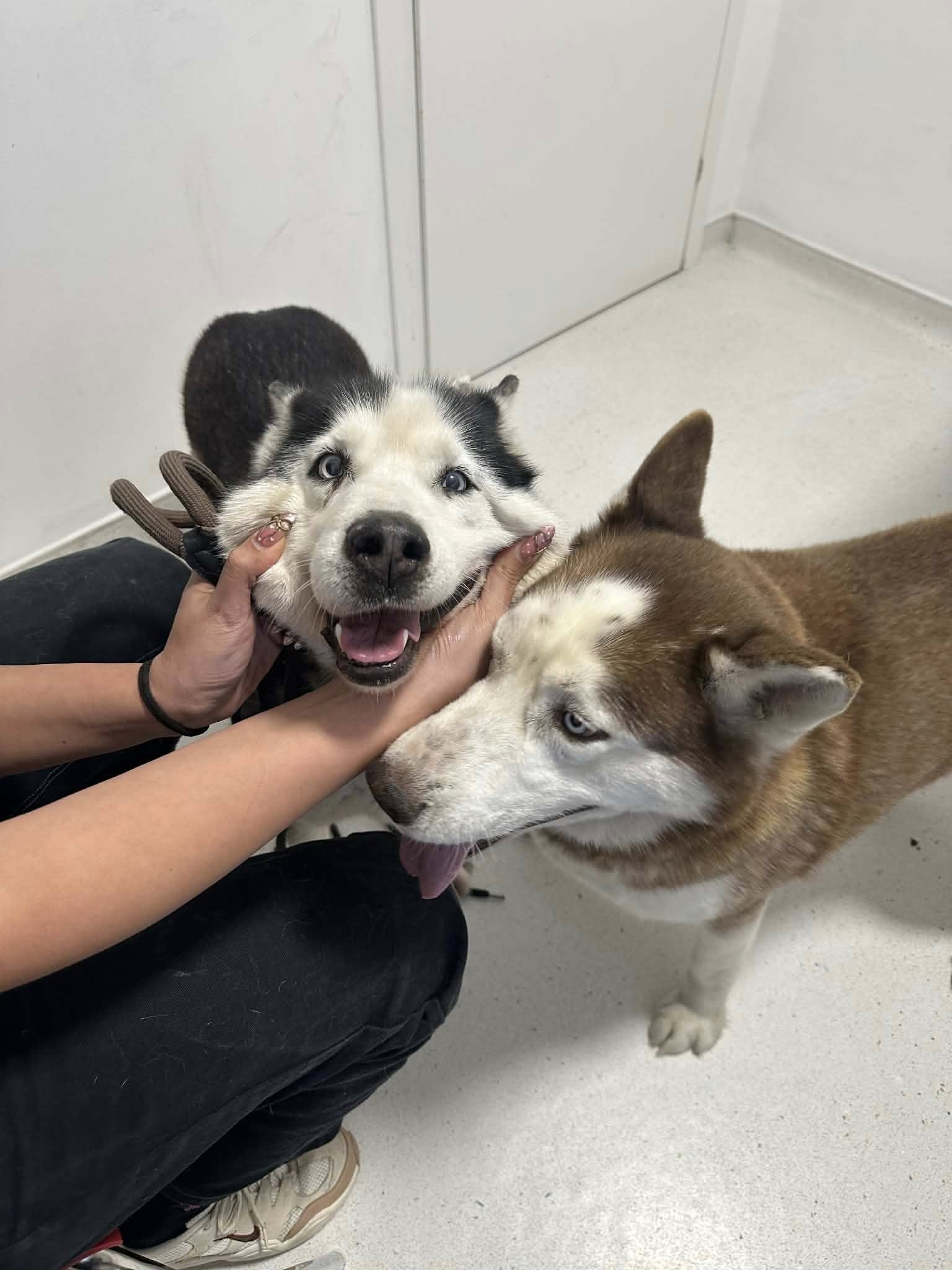 662002401_2927891917541952_7142752961049971905_n