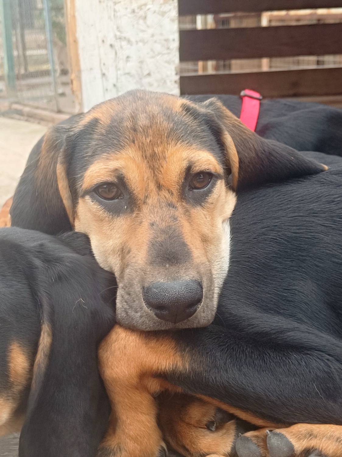 662042950_1374574768044838_3641995937385019064_n