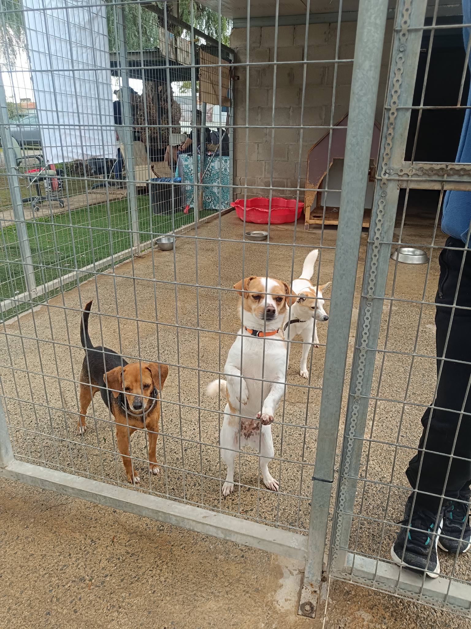 662140861_1445249487647550_7298568375780260820_n