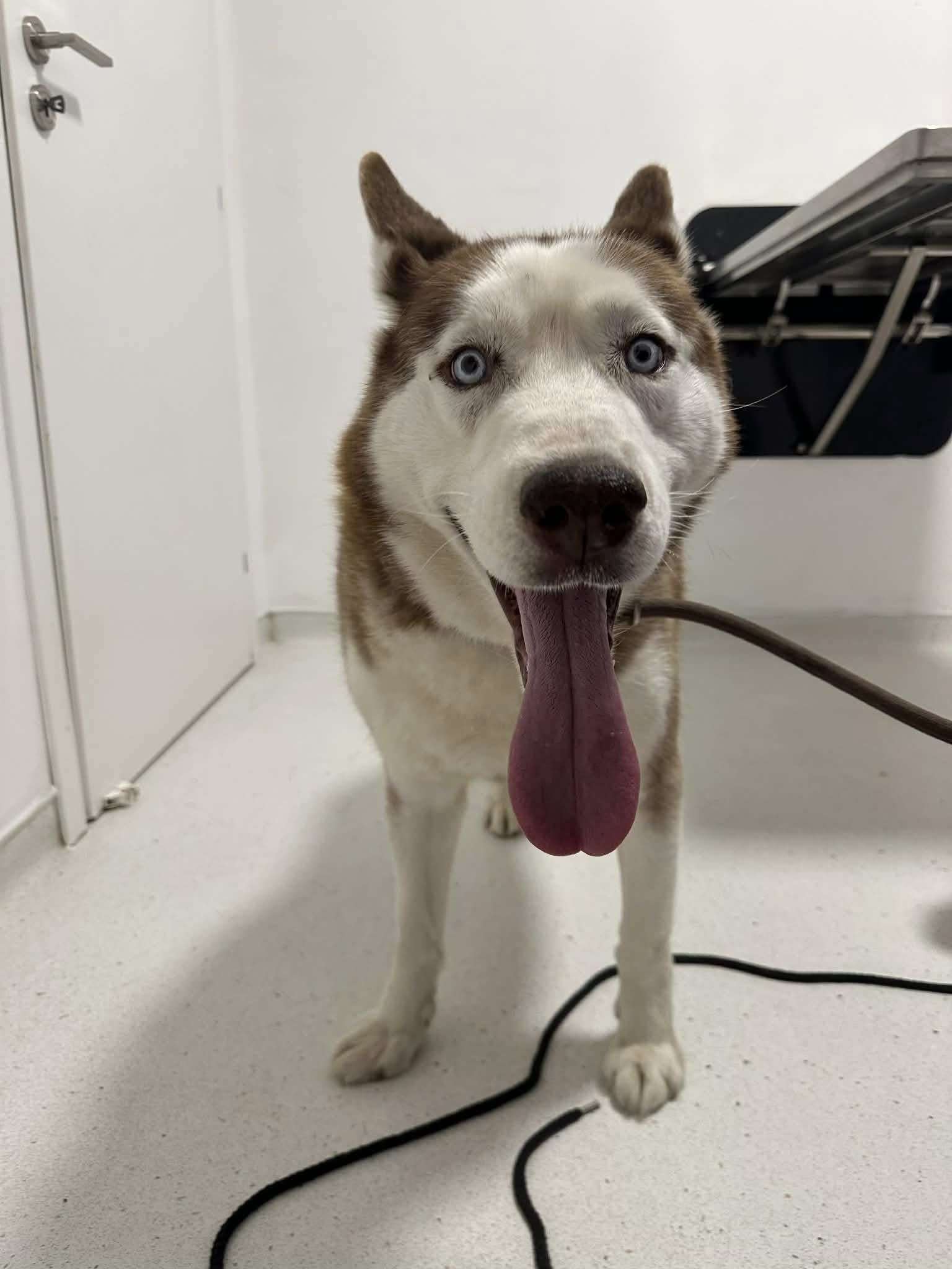 662763982_2927891997541944_3561560279955210939_n