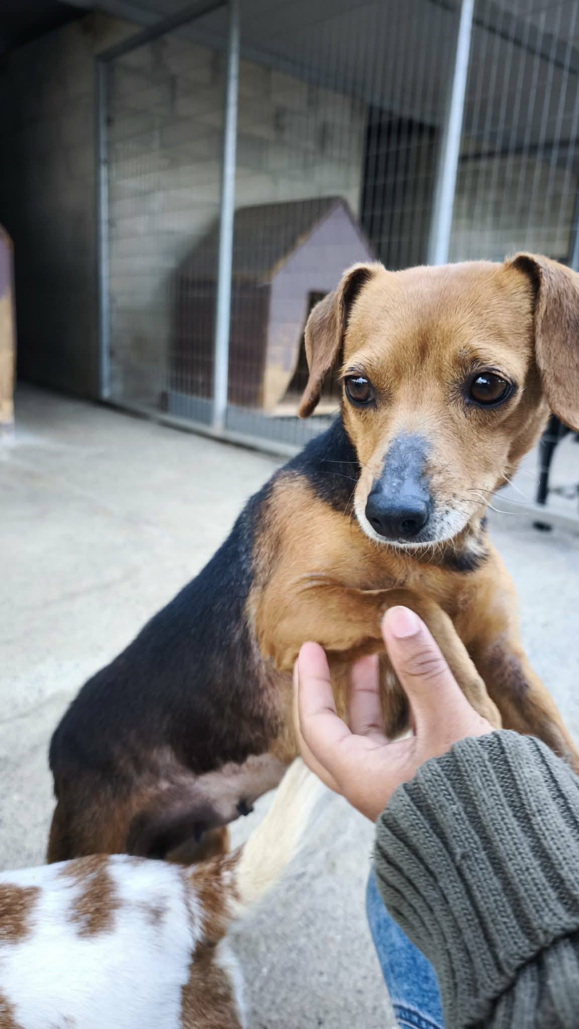 662870963_1445249427647556_787351058653371005_n