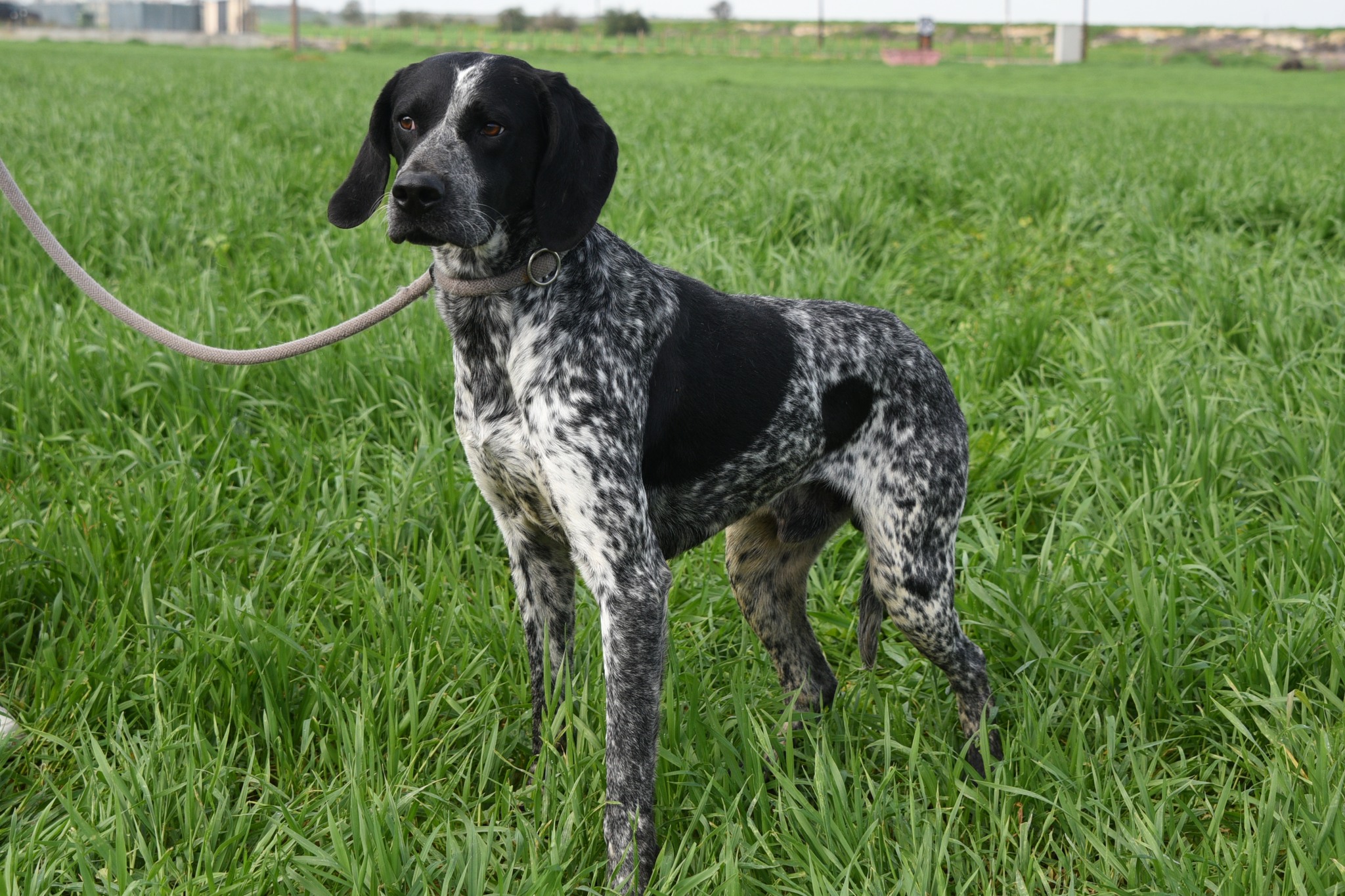 663028698_953713720505139_7532689784219991469_n