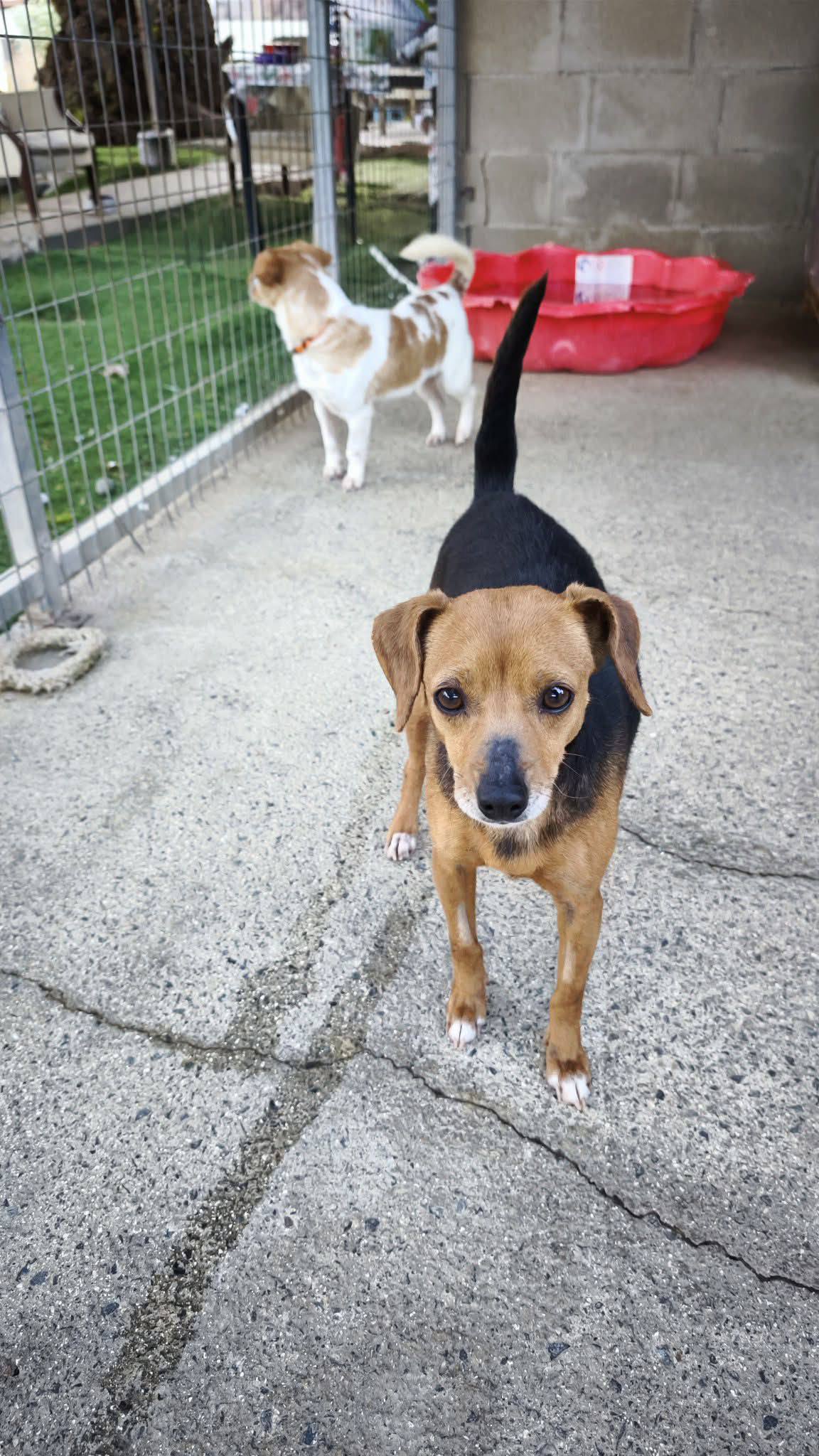 663107731_1445249397647559_1941334912572880080_n