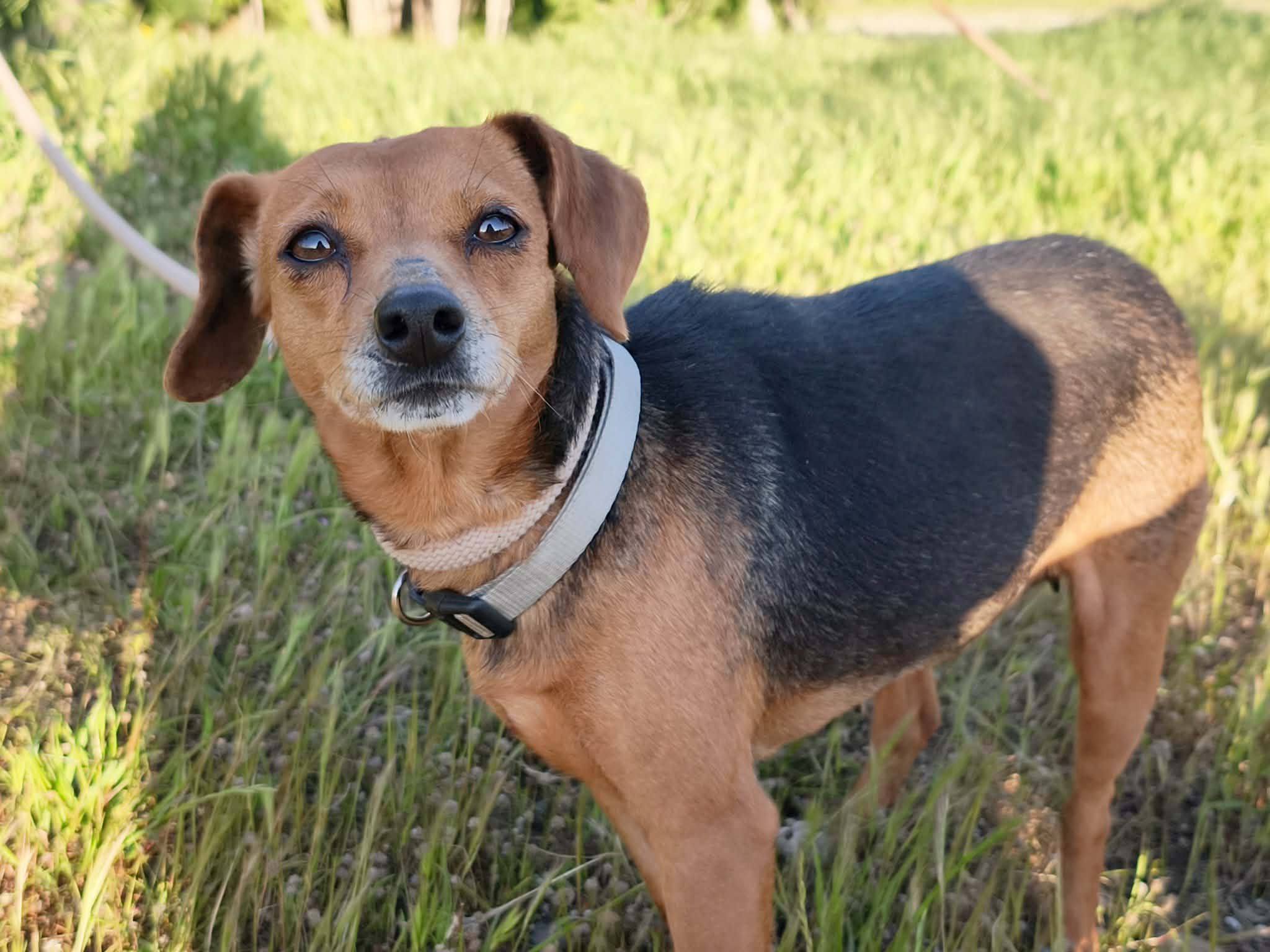 663277804_1445249334314232_5428777969710646711_n