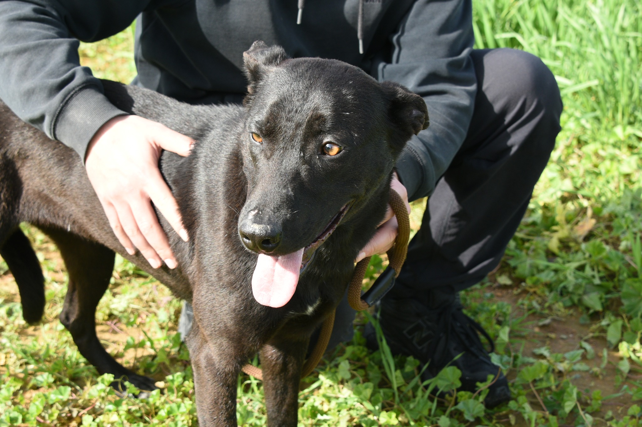 663321417_956155603594284_2835455092179318767_n