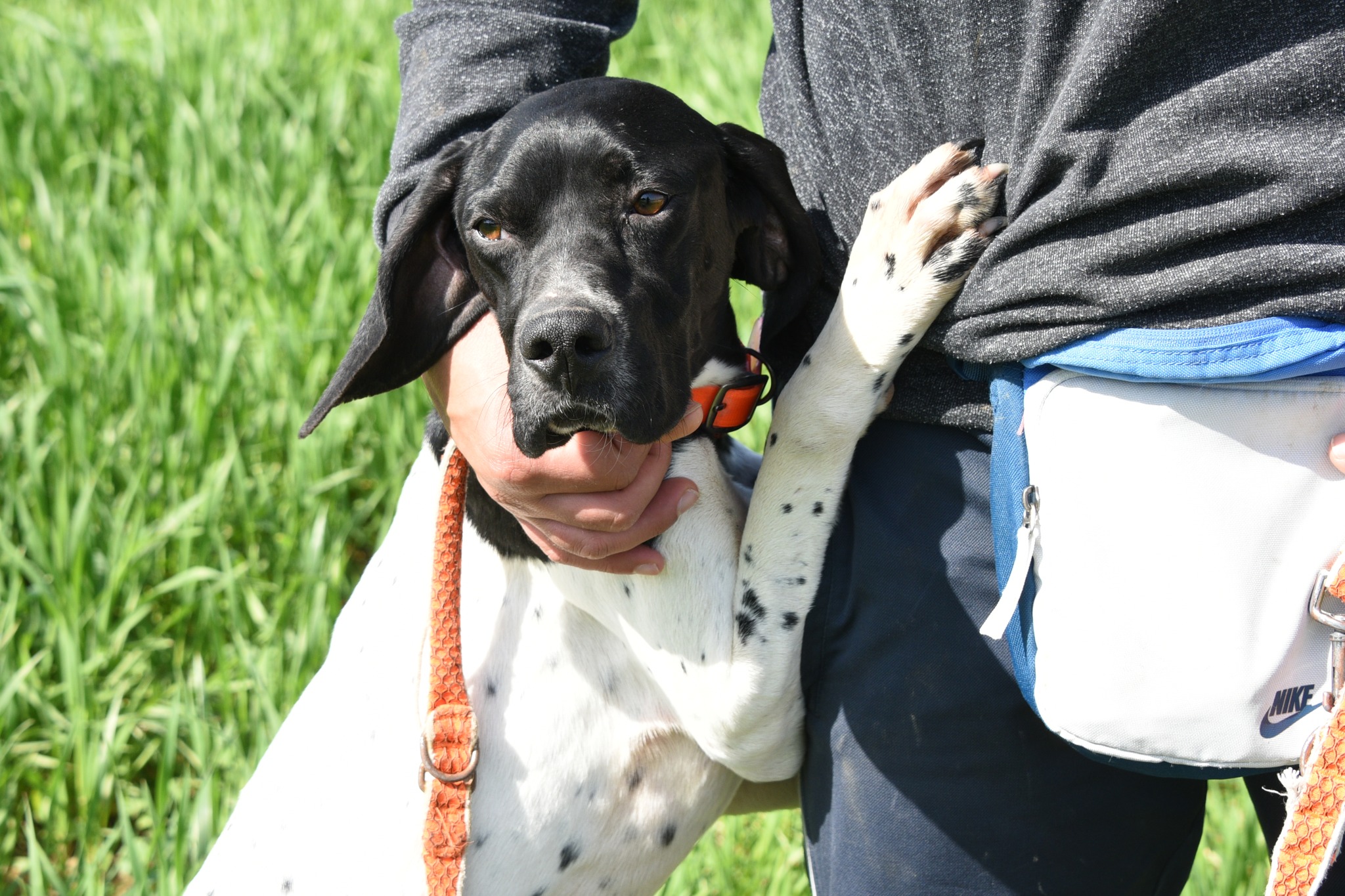 666185685_956885143521330_6928844036854731892_n