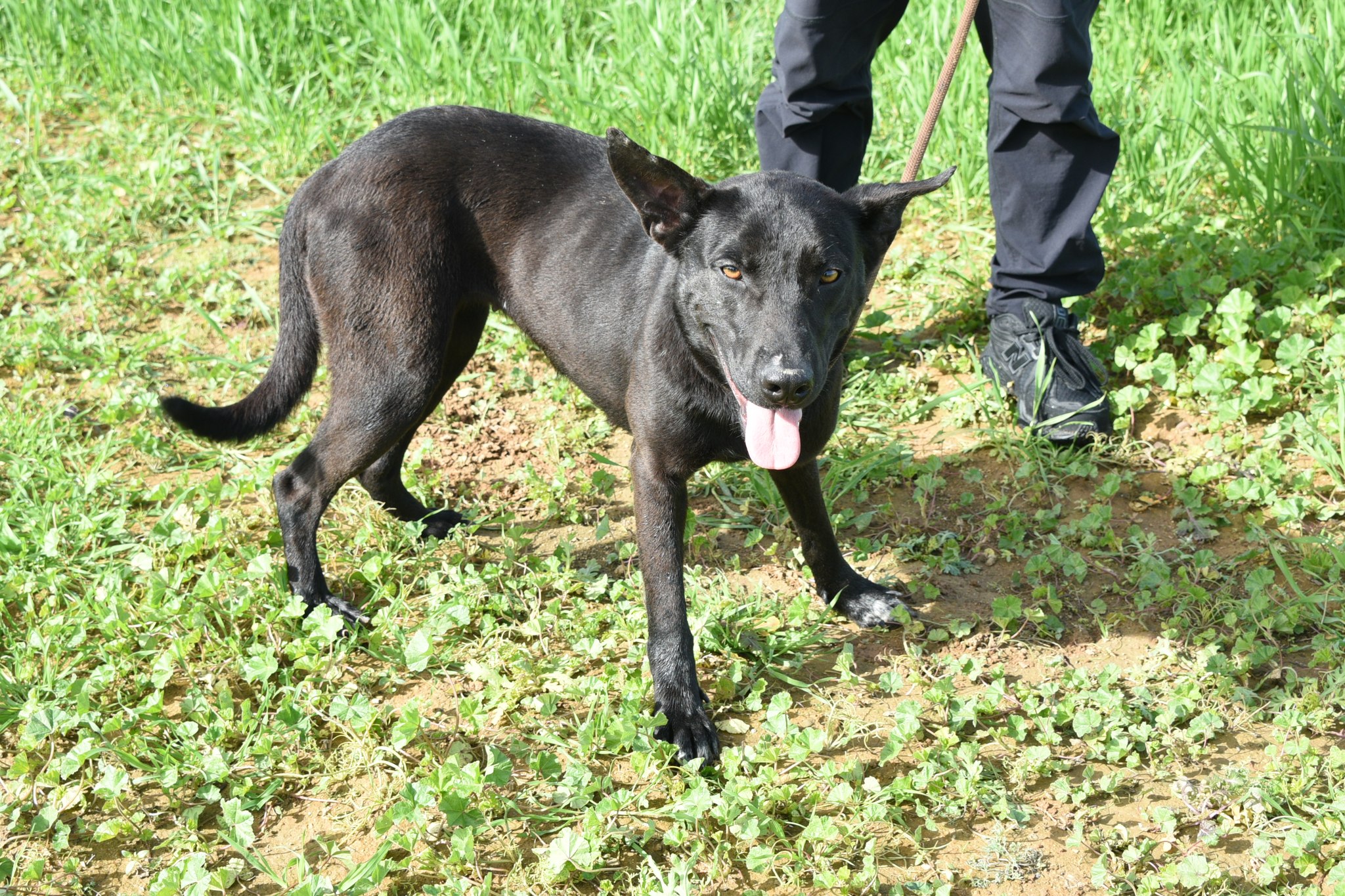 666504449_956155763594268_181254753685183436_n