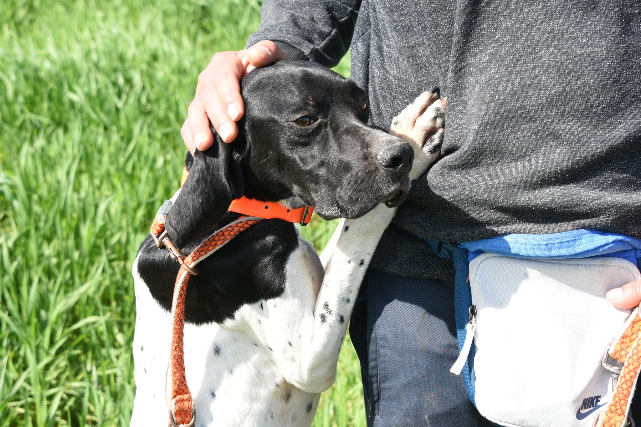 666744436_956886653521179_7832094638404227163_n